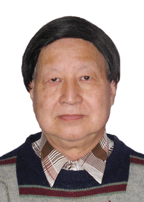   夏开元 教授