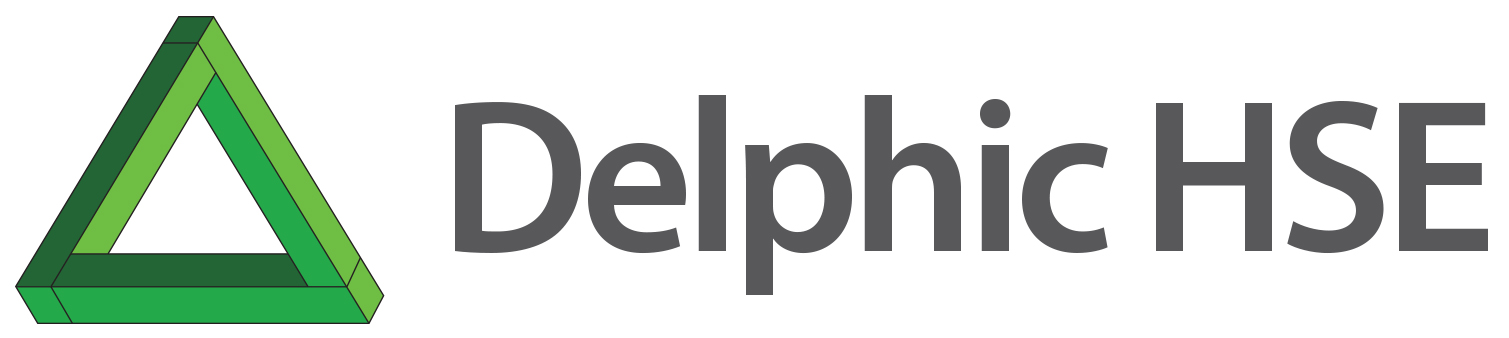  DELPHIC HSE SOLUTIONS (HONG KONG) LIMITED