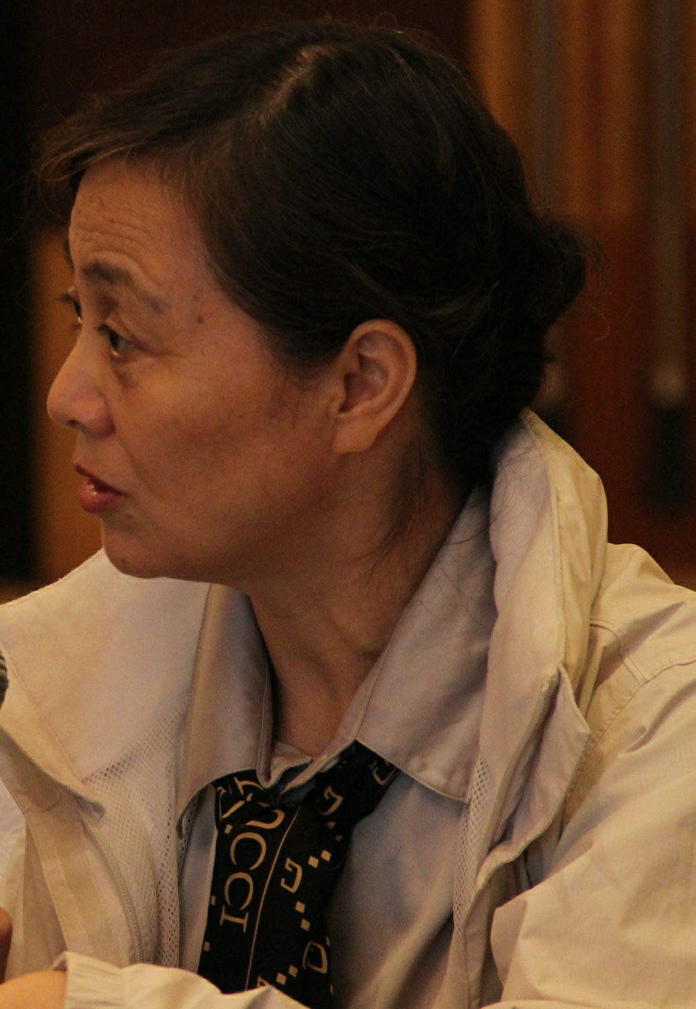 史小军