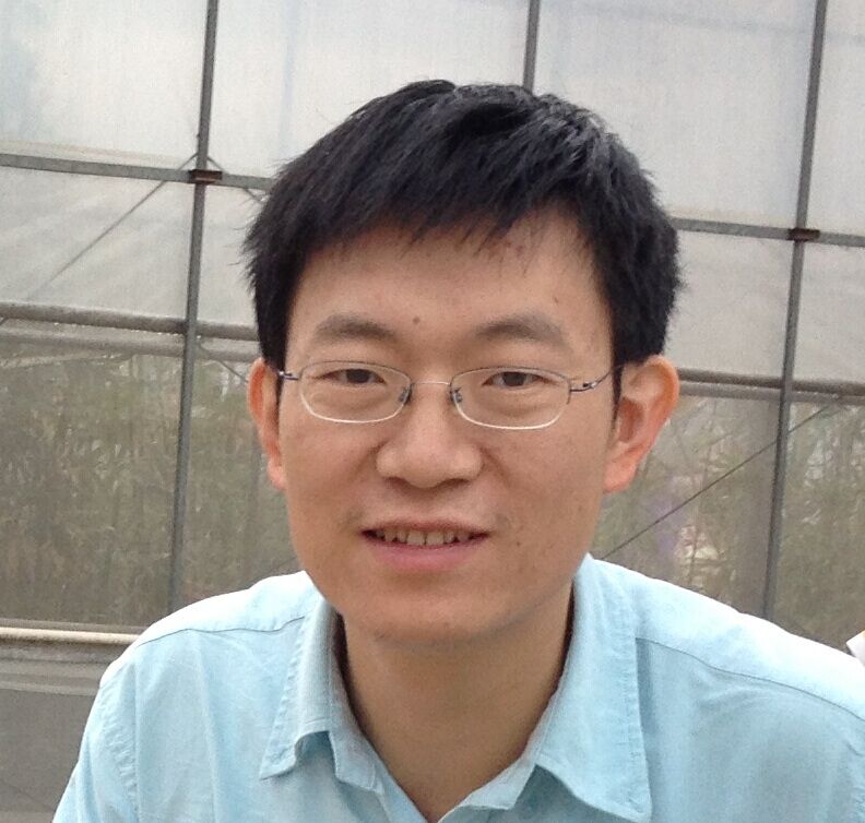 朱阳平 博士